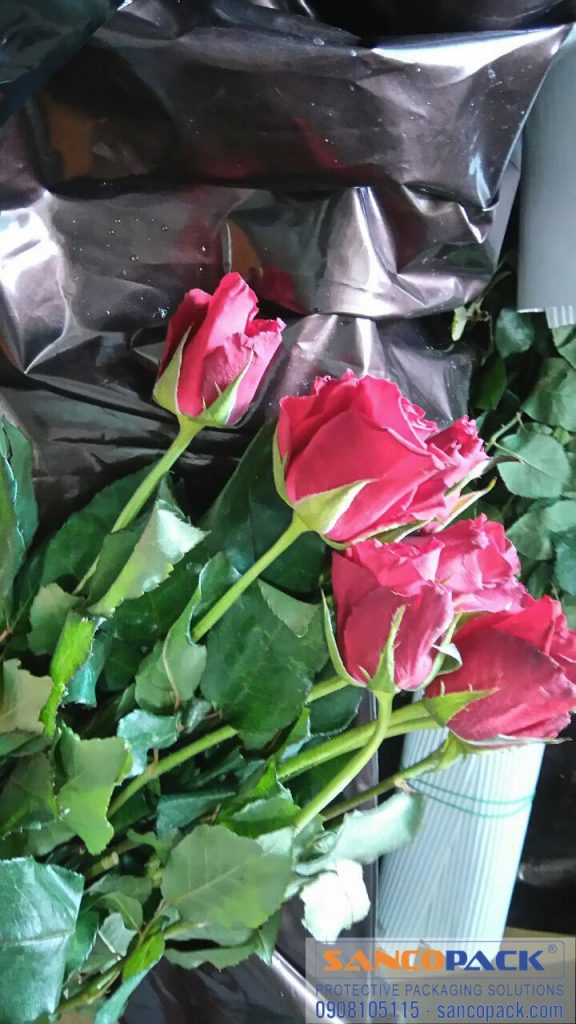 SANCOPACK CHUYÊN GIA ĐÓNG GÓI VÀ BẢO VỆ HÀNG HOÁ