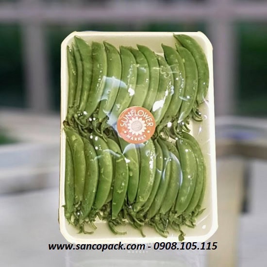 SANCOPACK CHUYÊN GIA ĐÓNG GÓI VÀ BẢO VỆ HÀNG HOÁ