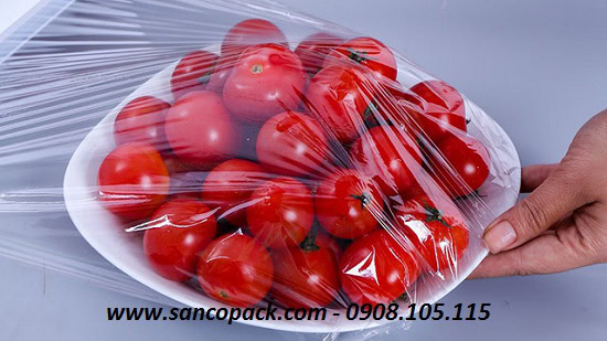 SANCOPACK CHUYÊN GIA ĐÓNG GÓI VÀ BẢO VỆ HÀNG HOÁ