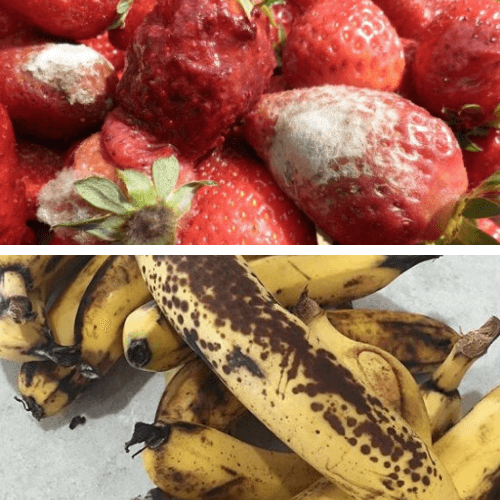 Quá trình lão hóa của rau của quả sau thu hoạch không được bảo quản