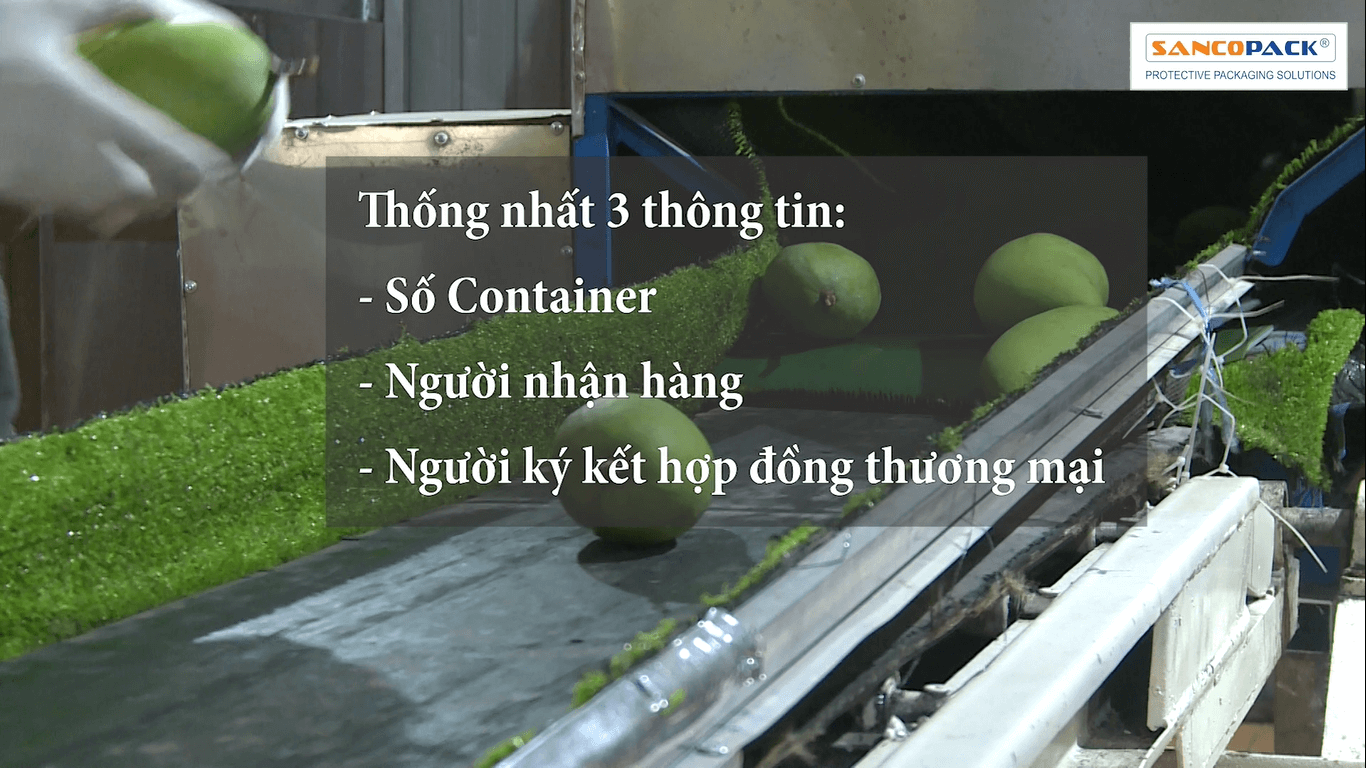 thong-nhat-3-thong-tin-xuat-khau-hang-nong-san-sang-trung-quoc