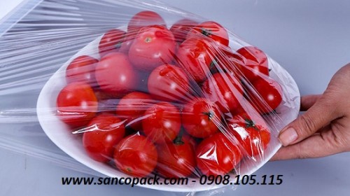SANCOPACK CHUYÊN GIA ĐÓNG GÓI VÀ BẢO VỆ HÀNG HOÁ