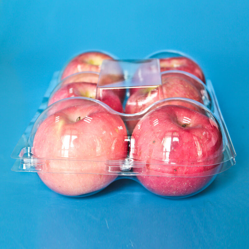 hộp nhựa đựng trái cây 3 trái 6 trái (3)