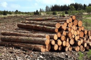 dia-chi-ban-go-thong