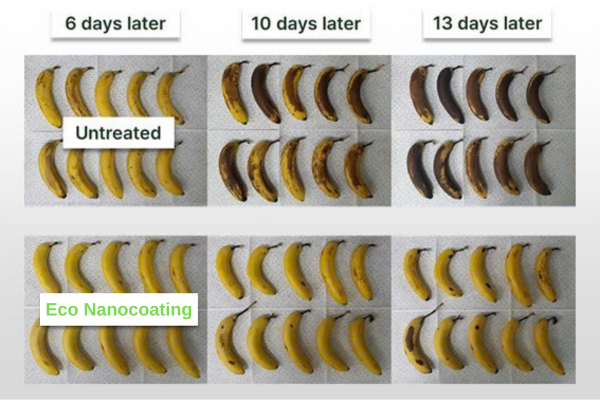 eco nanocoating