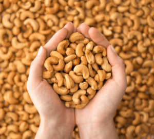 VQM Bảo Quản Hạt Điều (1)