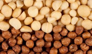 VQM-bao-quan-hat-macca (3)