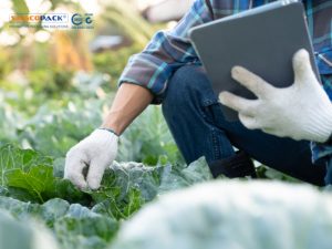 Giáo trình thu hoạch và bảo quản nông sản