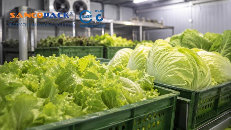 Nhiệt độ và độ ẩm phù hợp khi bảo quản nông sản
